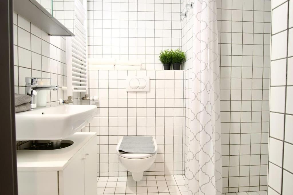Studio Apartment By Hi5- Rottenbiller Apartment Βουδαπέστη Εξωτερικό φωτογραφία